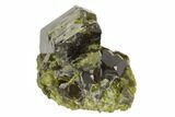 Lustrous Diopside Crystal Cluster - Afghanistan #122654-1